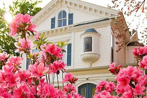 DSE 7科5**狀元+IELTS 9分 讀書心得分享